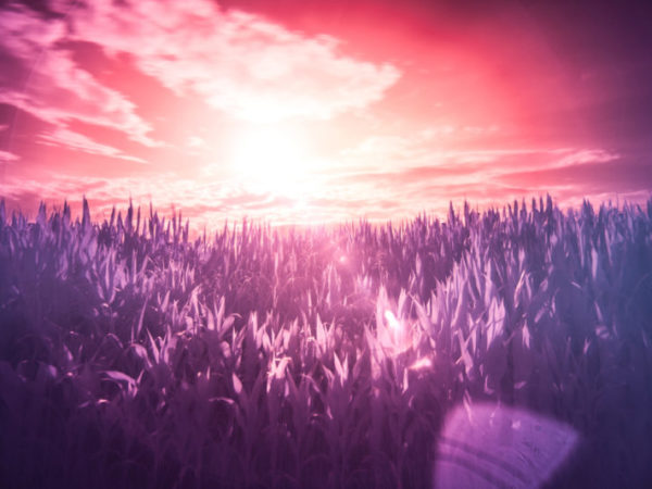 En startup-drøm om godnathistorier